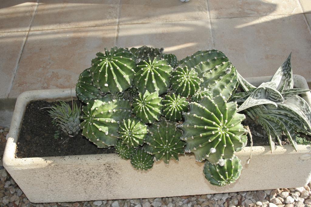 בית הארחה דלטברה 	La Casilla מראה חיצוני תמונה